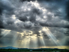 [2487060788_ba86c1cb44_m[1].jpg]